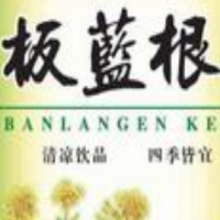 板蓝根凉茶饮品