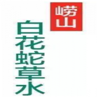 崂山白花蛇草水饮品