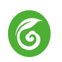 正山小种茶叶饮品