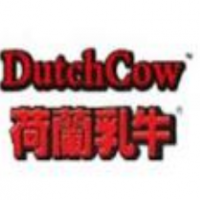 荷兰乳牛饮品加盟