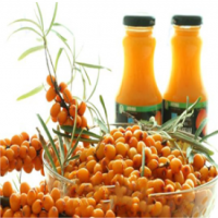 可棘沙棘果汁饮料饮品加盟