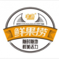 丰岛鲜果捞加盟