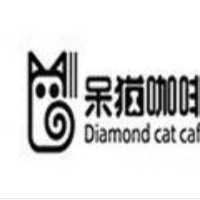 呆猫咖啡加盟