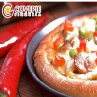 酷味派披萨加盟