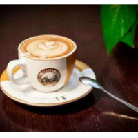 辛格小镇咖啡加盟