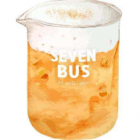 SEVENBUS加盟