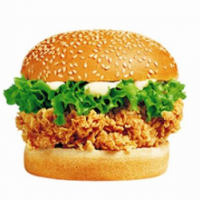 德莱斯汉堡加盟