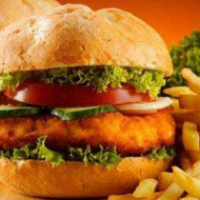 西部队长汉堡加盟