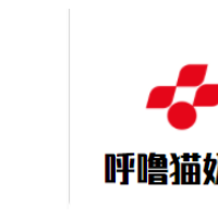呼噜猫奶茶加盟