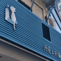 河堤上的猫加盟