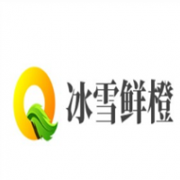 冰雪鲜橙奶茶加盟