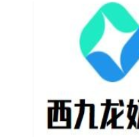 西九龙奶茶加盟