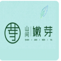 山间嫩芽加盟