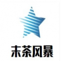 末茶风暴加盟