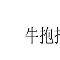 牛抱抱手工酸奶加盟