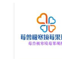 莓兽极寒境莓果现榨加盟