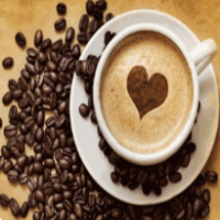 遇上西雅图加盟