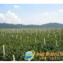 大连新世纪连发贸易有限公司