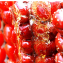 上海利颖食品管理有限公司