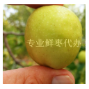 乐陵市好佳园大枣直销处