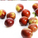 乐陵市和田枣恋红枣销售处