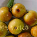 乐陵市明润金丝小枣购销处