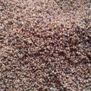 昆明五色衣生物科技有限公司