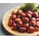 上海山野食品有限公司