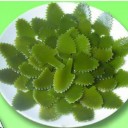 连云港统娇食品有限公司