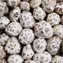 随州优元农业有限公司