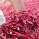 洮南市梦飞翔蔬菜种植合作社