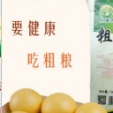 昌邑市晨绚贸易有限公司