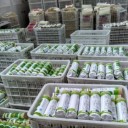 济宁市跃龙食品有限公司