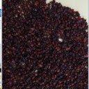 新疆华创沙棘生物科技有限公司