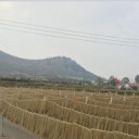 滕州市久安粉条加工厂