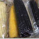 忻州市忻府区孙家农产品经营专业合作社