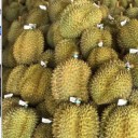 青岛沁甜商贸有限公司