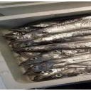 浙江五船海洋生物科技有限公司