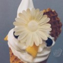 深圳海川生态食品科技有限公司