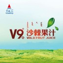 内蒙古宇航人高技术产业有限责任公司 