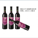 四川劲椹食品科技有限公司