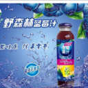 绍兴野森林蓝莓饮料有限公司