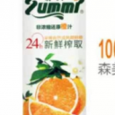 郴州森美橙园投资发展有限公司