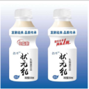 山东犇洋乳业有限公司