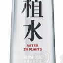 山东芳蕾国际贸易有限公司