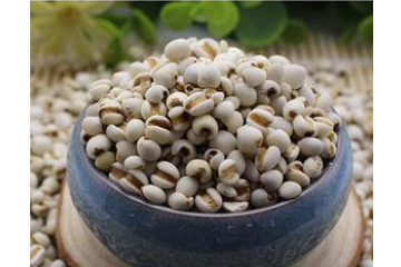 云阳县千丝来食品有限公司