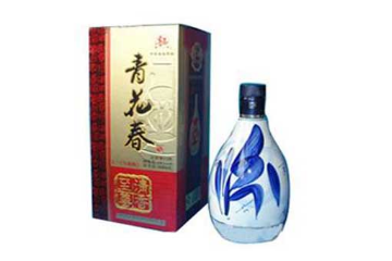 山西春玉酒业有限公司