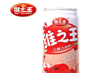 山西维之王食品有限公司