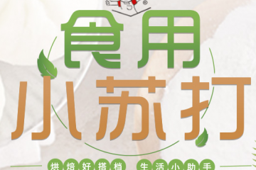 南京华飞口碱厂