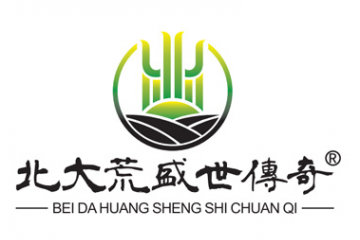 北大荒盛世传奇运营中心